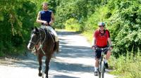 MTB Mountain Biking in Tuscany Italy