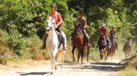 Horse riding tours in Tuscany