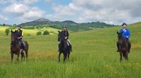 Horse riding tours in Tuscany