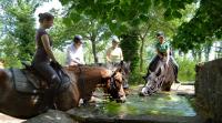 Horse Riding in Tuscany Italy