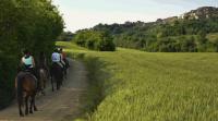 Horse Riding in Tuscany Italy