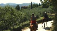 Horse Riding in Tuscany Italy