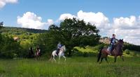 Horse riding tours in Tuscany