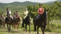 Week-long Trailriding in Tuscany, Italy