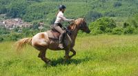 Equestrian Vacations in Tuscany