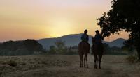 Horse riding tours in Tuscany