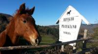 Horse Riding in Tuscany Italy