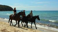 Week-long Trailriding in Tuscany, Italy