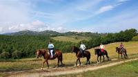 Horse Riding in Tuscany Italy