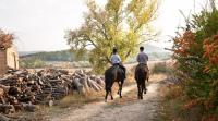 Horse riding tours in Tuscany