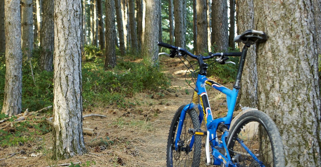 BIKING IN TUSCANY